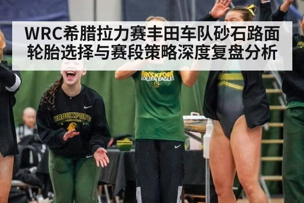 WRC希腊拉力赛丰田车队砂石路面轮胎选择与赛段策略深度复盘分析 - jiuyou game
